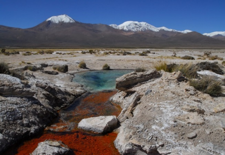 Chile High alt pond pampa larima